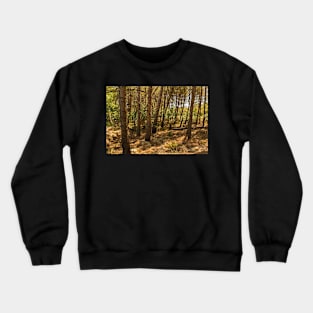 Forest on Krk Island, Croatia Crewneck Sweatshirt